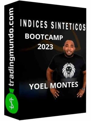 curso-indices-sinteticos-yoel-montes