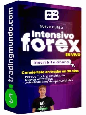 curso-intensivo-de-trading-en-forex-estefano-trading